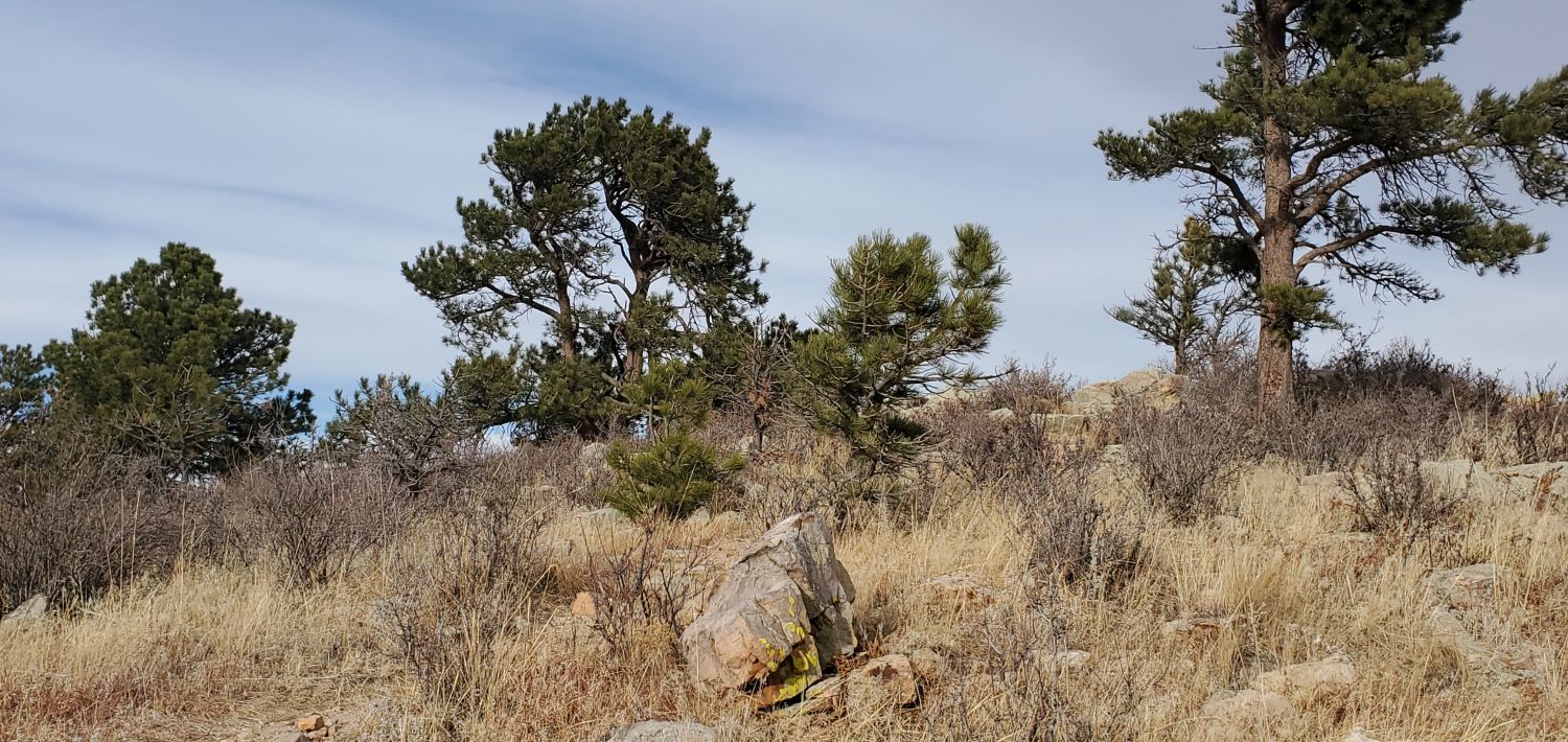 Hiking Overlook Trail 